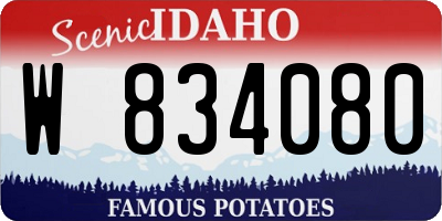 ID license plate W834080