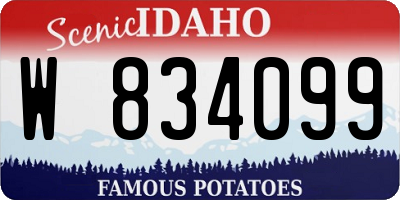 ID license plate W834099