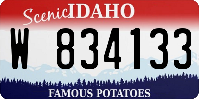 ID license plate W834133