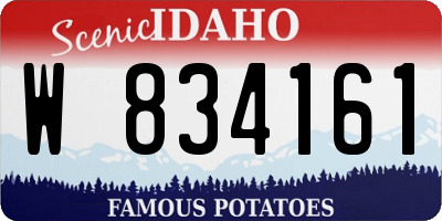 ID license plate W834161