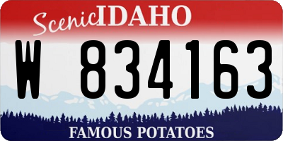 ID license plate W834163