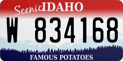 ID license plate W834168