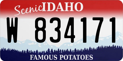 ID license plate W834171