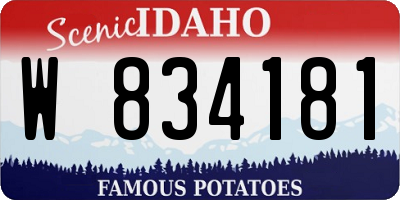 ID license plate W834181