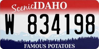 ID license plate W834198