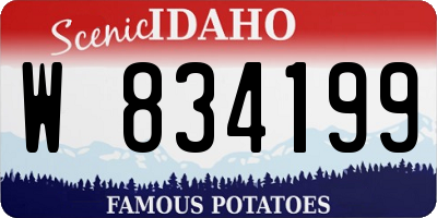 ID license plate W834199