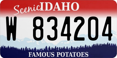 ID license plate W834204