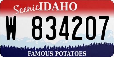 ID license plate W834207