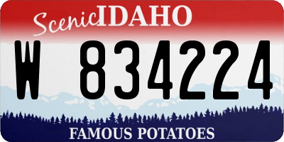 ID license plate W834224