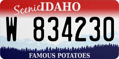 ID license plate W834230