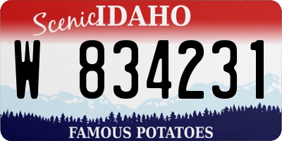 ID license plate W834231