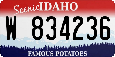 ID license plate W834236