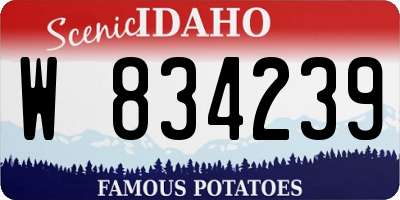 ID license plate W834239