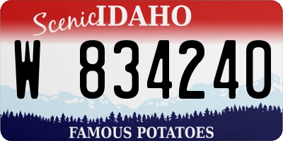 ID license plate W834240