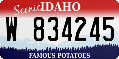 ID license plate W834245