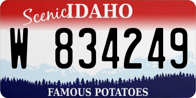 ID license plate W834249