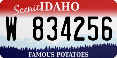 ID license plate W834256