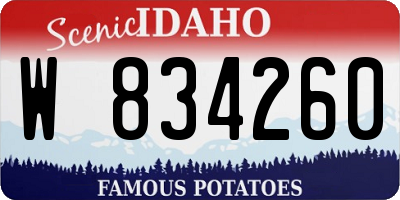 ID license plate W834260