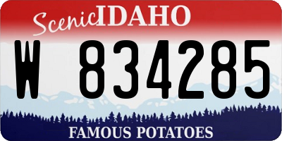 ID license plate W834285