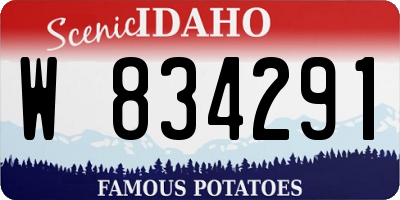 ID license plate W834291
