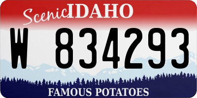 ID license plate W834293