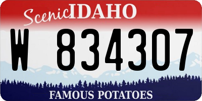 ID license plate W834307