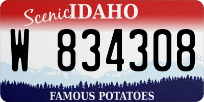 ID license plate W834308