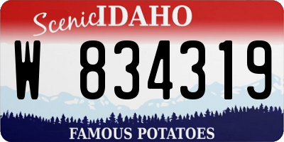 ID license plate W834319