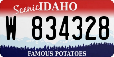 ID license plate W834328