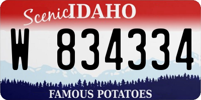 ID license plate W834334