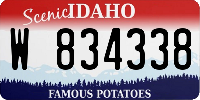 ID license plate W834338