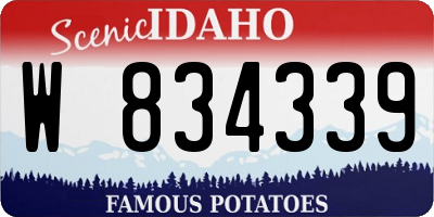 ID license plate W834339