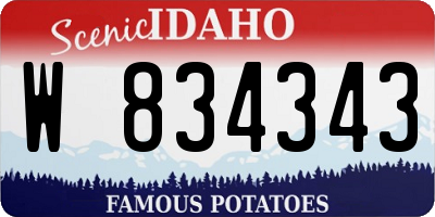 ID license plate W834343