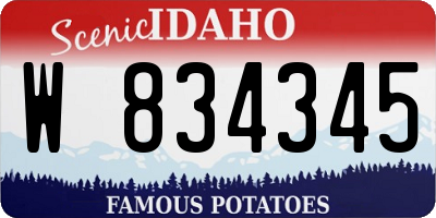 ID license plate W834345