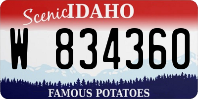 ID license plate W834360