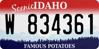 ID license plate W834361