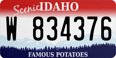 ID license plate W834376