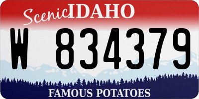 ID license plate W834379
