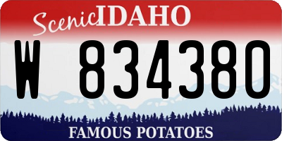 ID license plate W834380