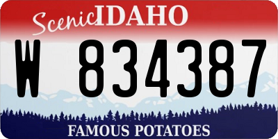 ID license plate W834387