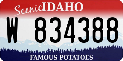 ID license plate W834388