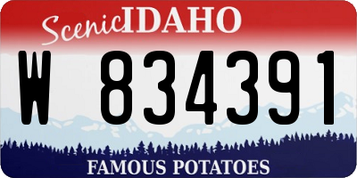 ID license plate W834391