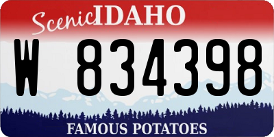 ID license plate W834398