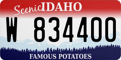 ID license plate W834400