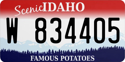 ID license plate W834405
