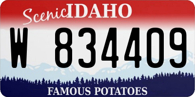 ID license plate W834409