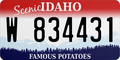 ID license plate W834431