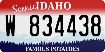 ID license plate W834438