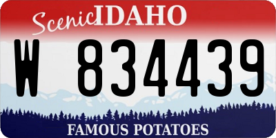 ID license plate W834439