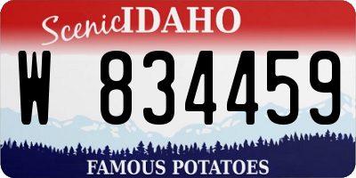 ID license plate W834459